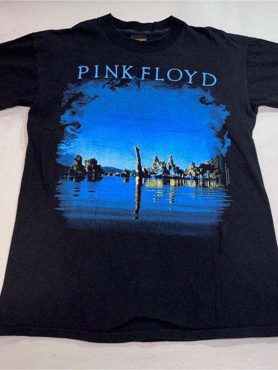 Pink Floyd Other - PINK FLOYD Wish You Were Here Vintage 1992 Brockum World wide Tee Shirt L EUC